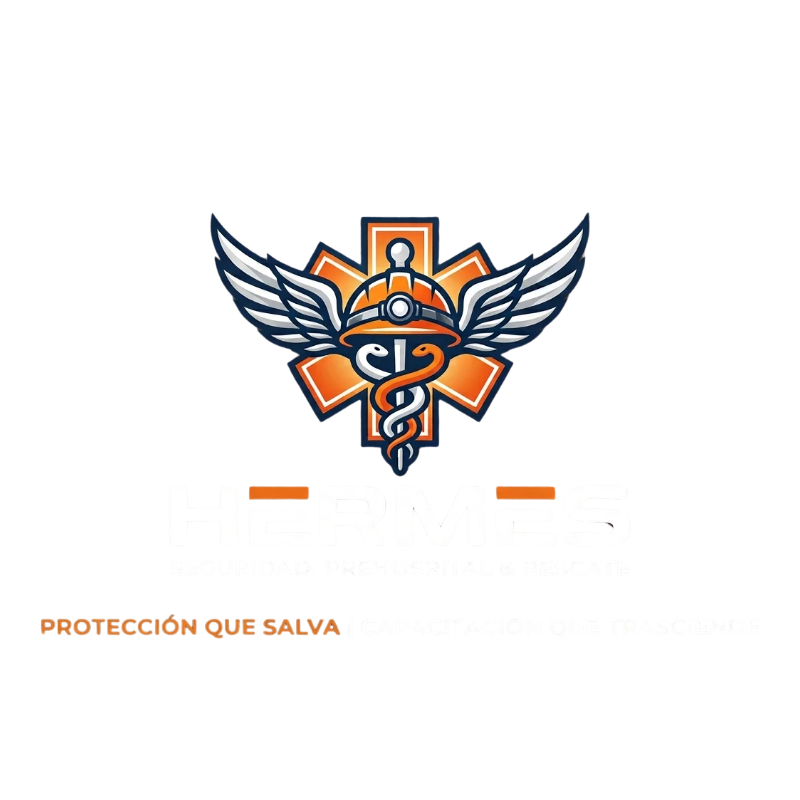 HERMES Logo